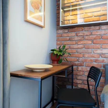 公寓 Rudzka Gora Comfy By Bookinghost 罗兹